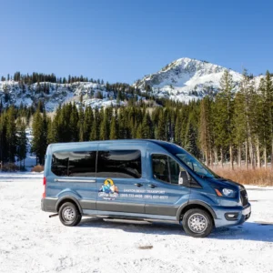 Blue transport van in snowy landscape.