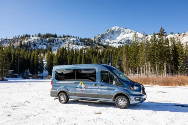 Blue transport van in snowy landscape.